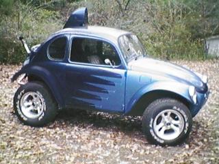 Shortened blue bug.