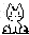Neko the little white kitty