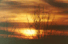 Sunset Serenity.